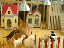 盐城宠物猫寄养
