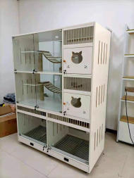 宠物店寄养新选择 猫柜狗柜与繁育别墅，打造舒适安全的宠物旅馆