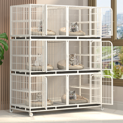 三层宠物猫繁育寄养笼 从空间设计到实用细节的全解析