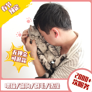 北京家庭宠物猫寄养全攻略 让出差旅行不再担忧