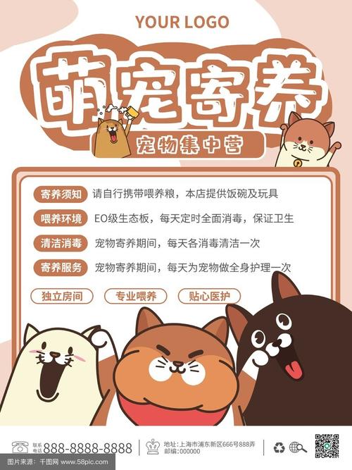 猫咪寄养，就选专业宠物店，让爱宠安心住假期！