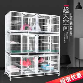 湖南鸽子养殖场与宠物猫寄养的和谐共生之道