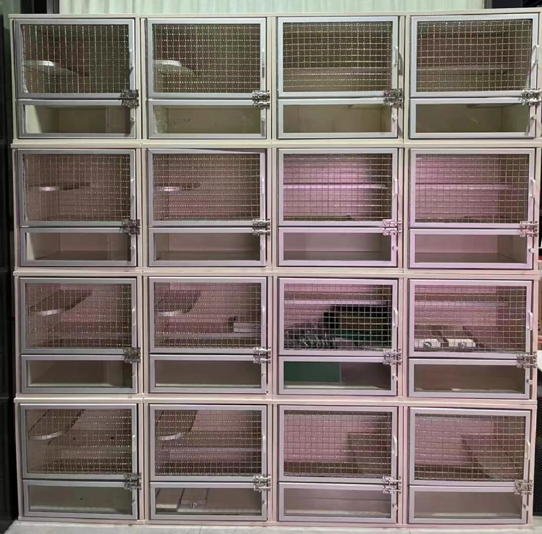 7sevenpet猫舍撸猫馆 专业宠物猫寄养，让爱宠如归家